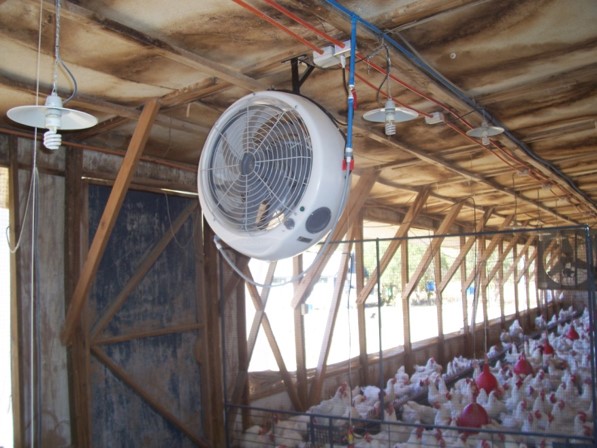 1181209369660-agrosuper 1181209369660 agrosuper