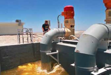 1962099654imagen1 1962099654imagen1